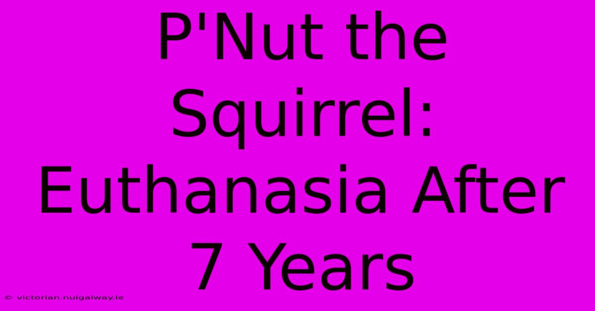 P'Nut The Squirrel: Euthanasia After 7 Years 