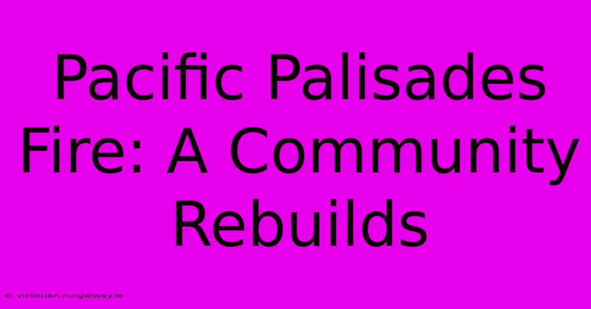 Pacific Palisades Fire: A Community Rebuilds