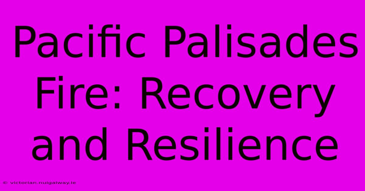 Pacific Palisades Fire: Recovery And Resilience