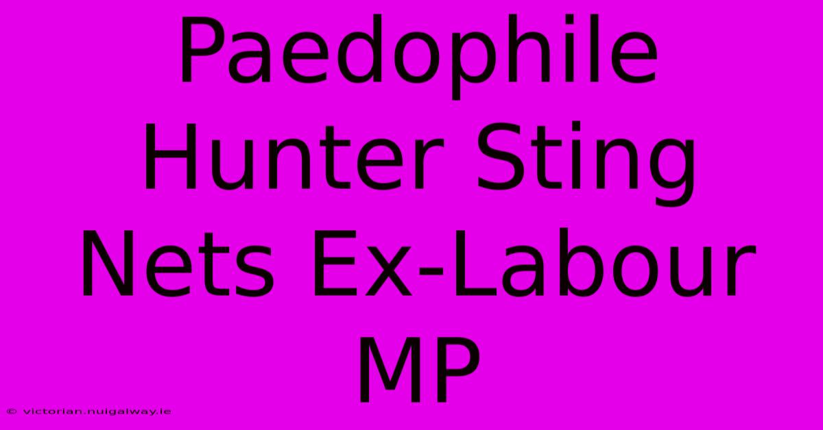 Paedophile Hunter Sting Nets Ex-Labour MP