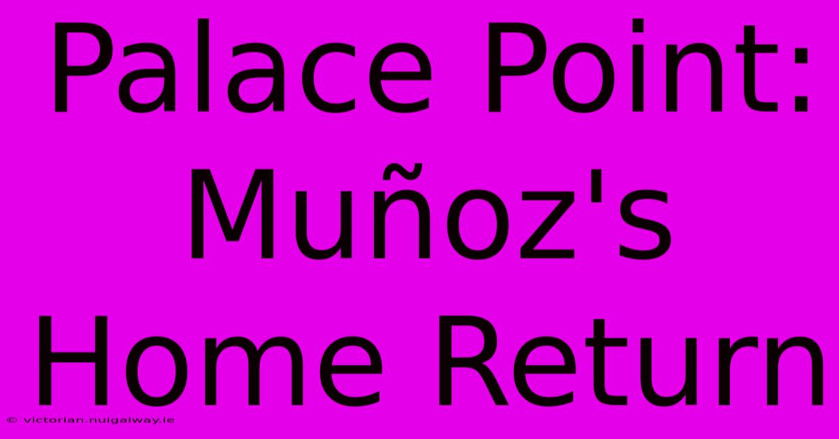 Palace Point: Muñoz's Home Return