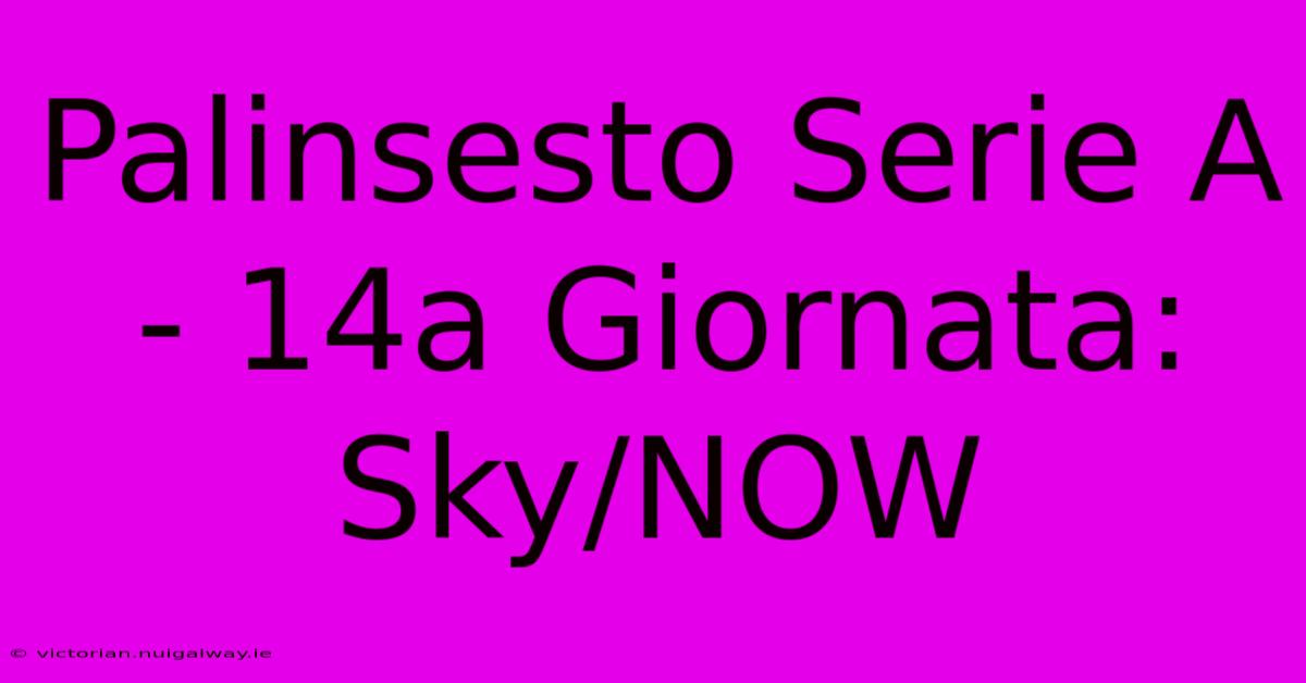 Palinsesto Serie A - 14a Giornata: Sky/NOW