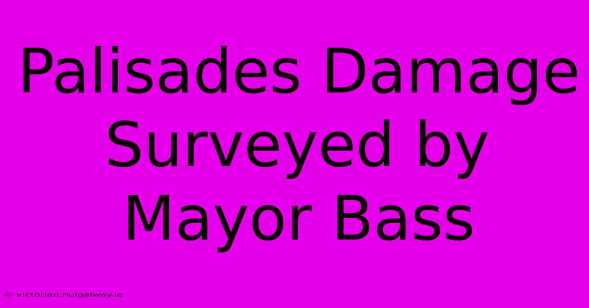 Palisades Damage Surveyed By Mayor Bass