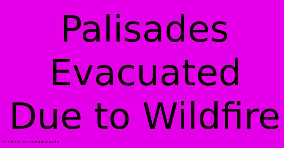 Palisades Evacuated Due To Wildfire