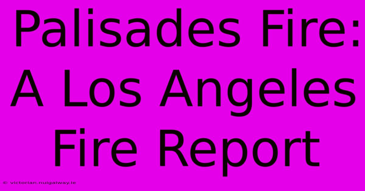 Palisades Fire:  A Los Angeles Fire Report