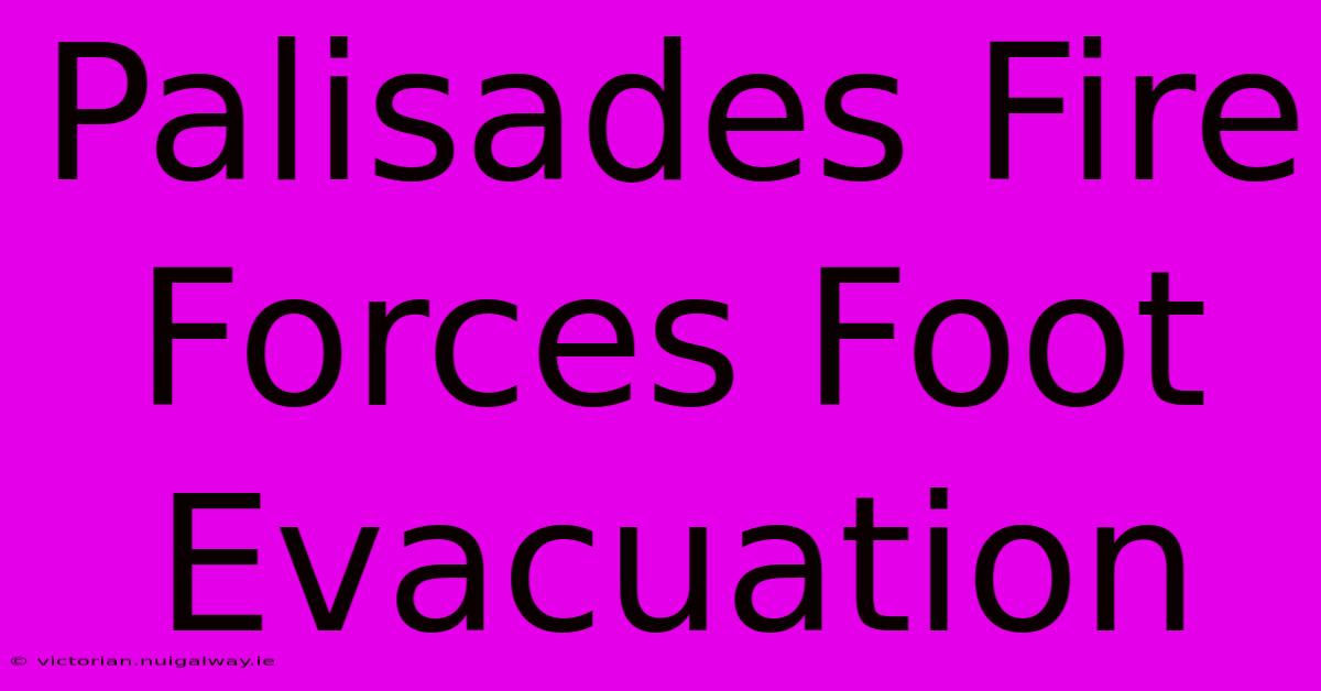 Palisades Fire Forces Foot Evacuation