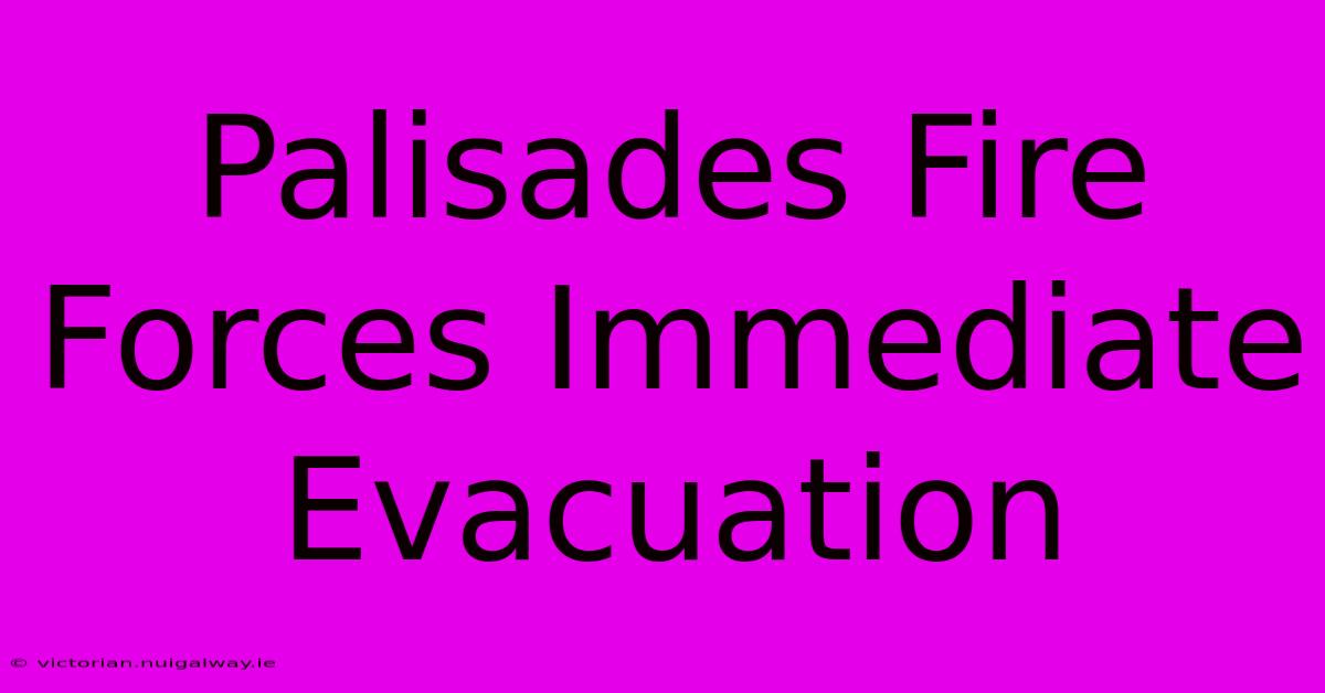 Palisades Fire Forces Immediate Evacuation