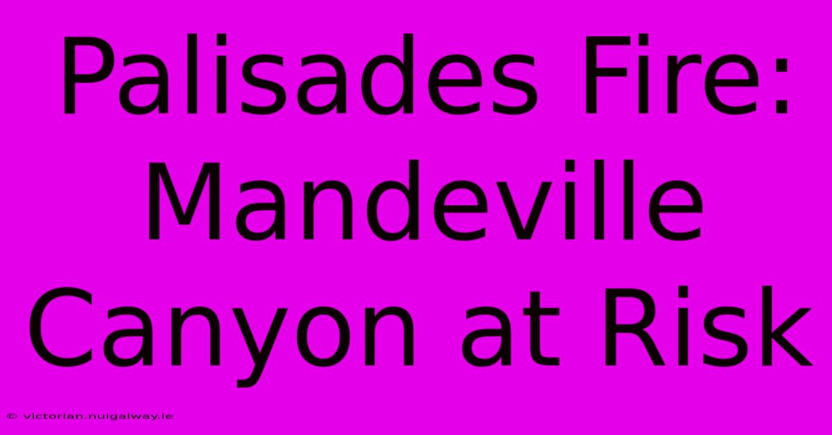 Palisades Fire: Mandeville Canyon At Risk