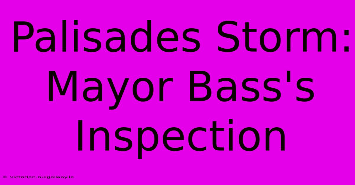 Palisades Storm: Mayor Bass's Inspection