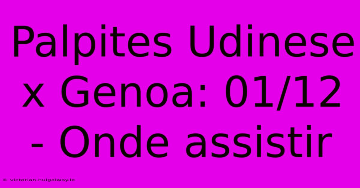 Palpites Udinese X Genoa: 01/12 - Onde Assistir