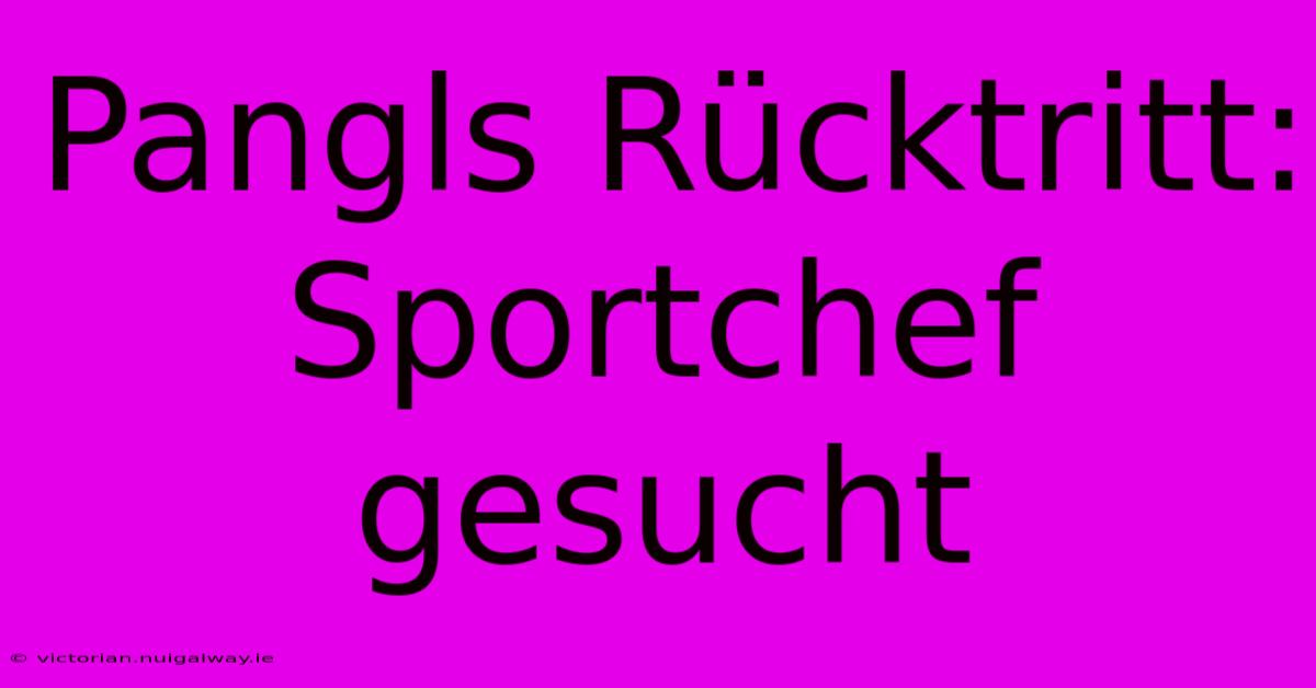 Pangls Rücktritt: Sportchef Gesucht