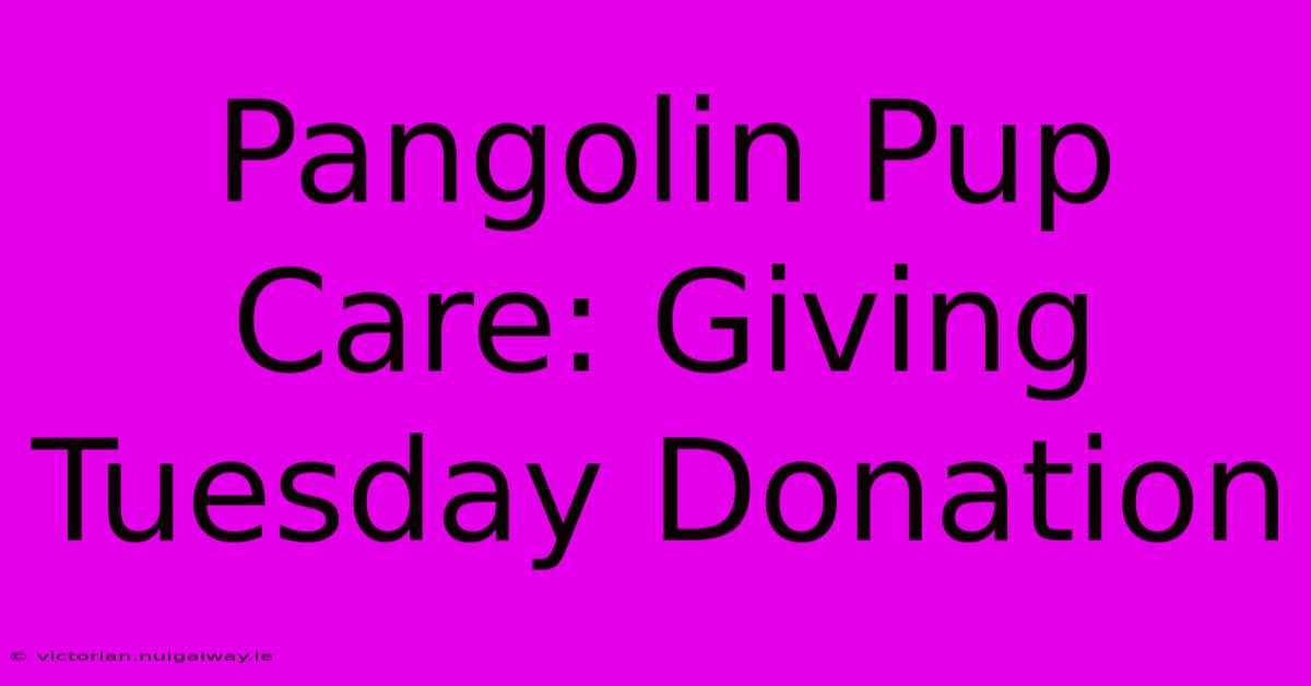 Pangolin Pup Care: Giving Tuesday Donation