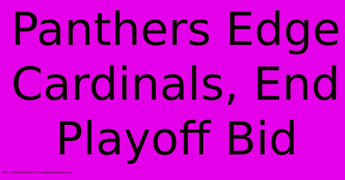 Panthers Edge Cardinals, End Playoff Bid