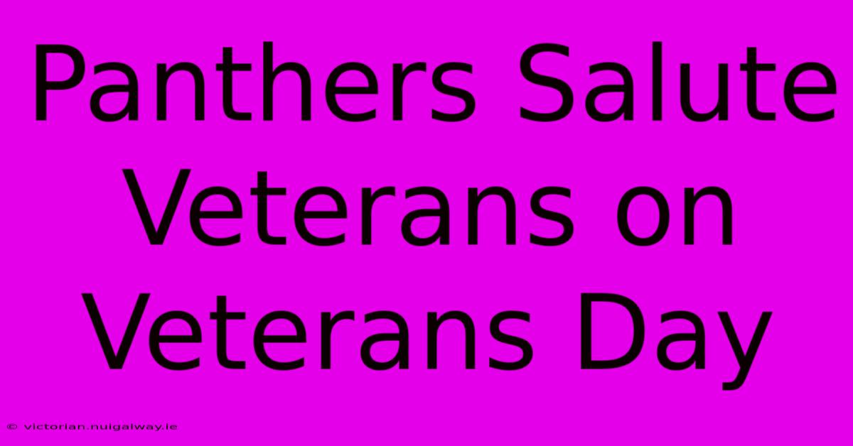 Panthers Salute Veterans On Veterans Day 