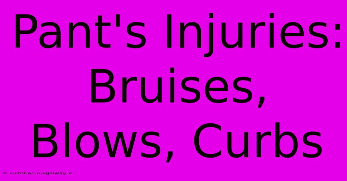 Pant's Injuries: Bruises, Blows, Curbs