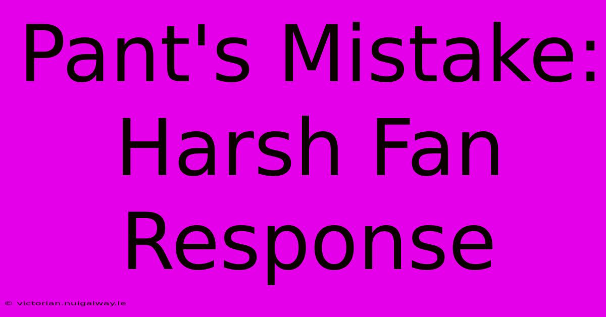 Pant's Mistake:  Harsh Fan Response