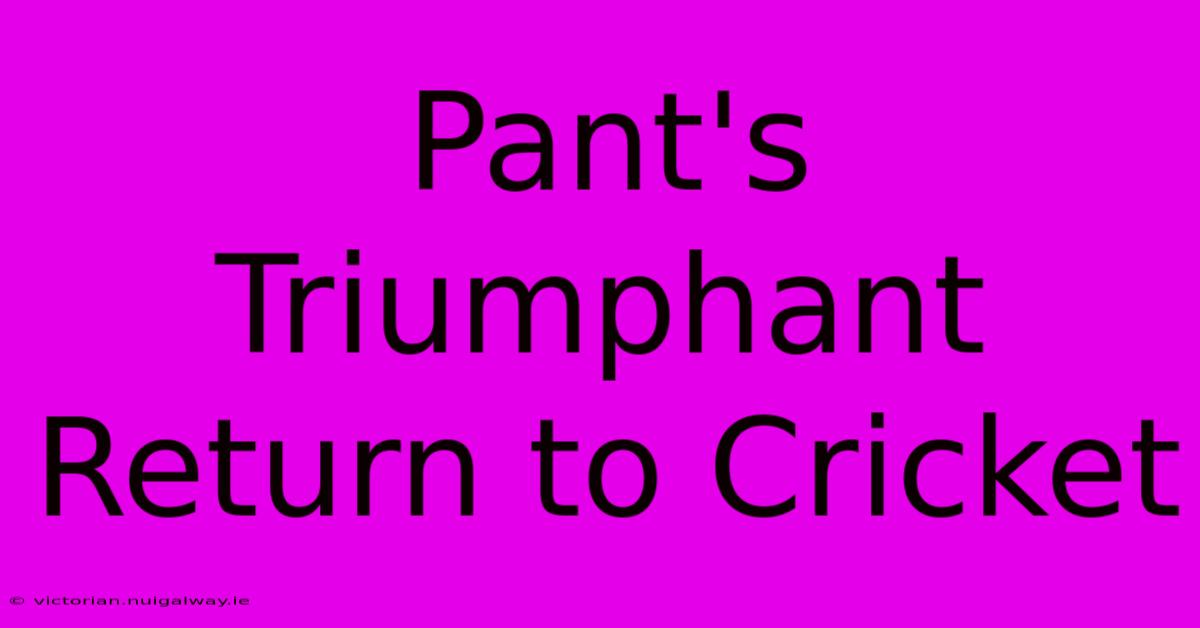 Pant's Triumphant Return To Cricket