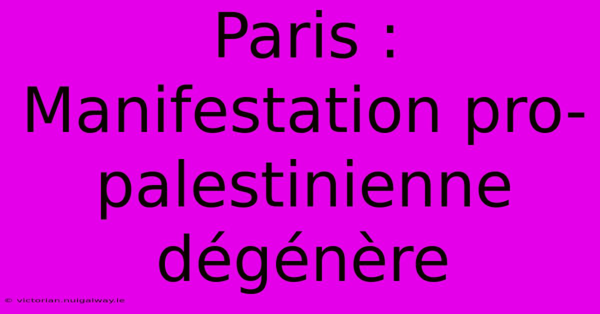 Paris : Manifestation Pro-palestinienne Dégénère 