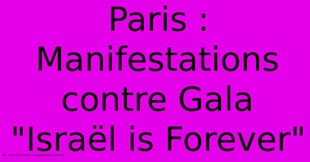 Paris : Manifestations Contre Gala 