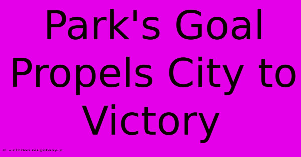 Park's Goal Propels City To Victory