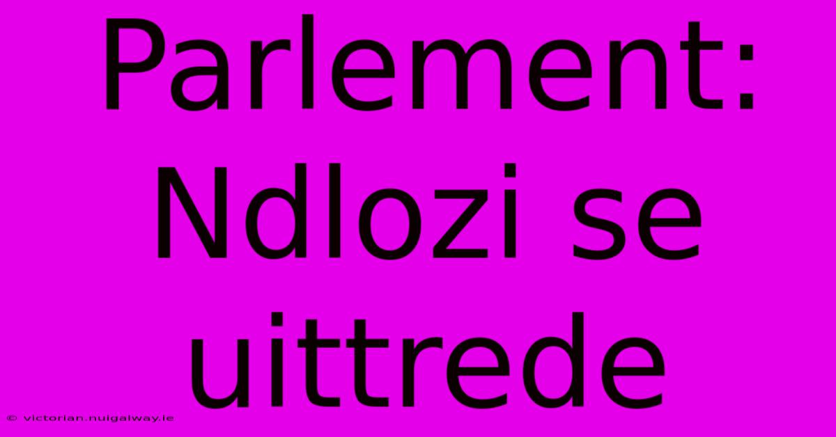 Parlement: Ndlozi Se Uittrede