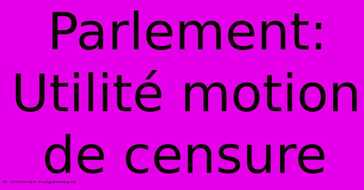 Parlement: Utilité Motion De Censure