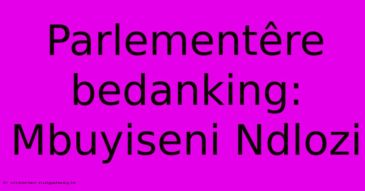 Parlementêre Bedanking: Mbuyiseni Ndlozi