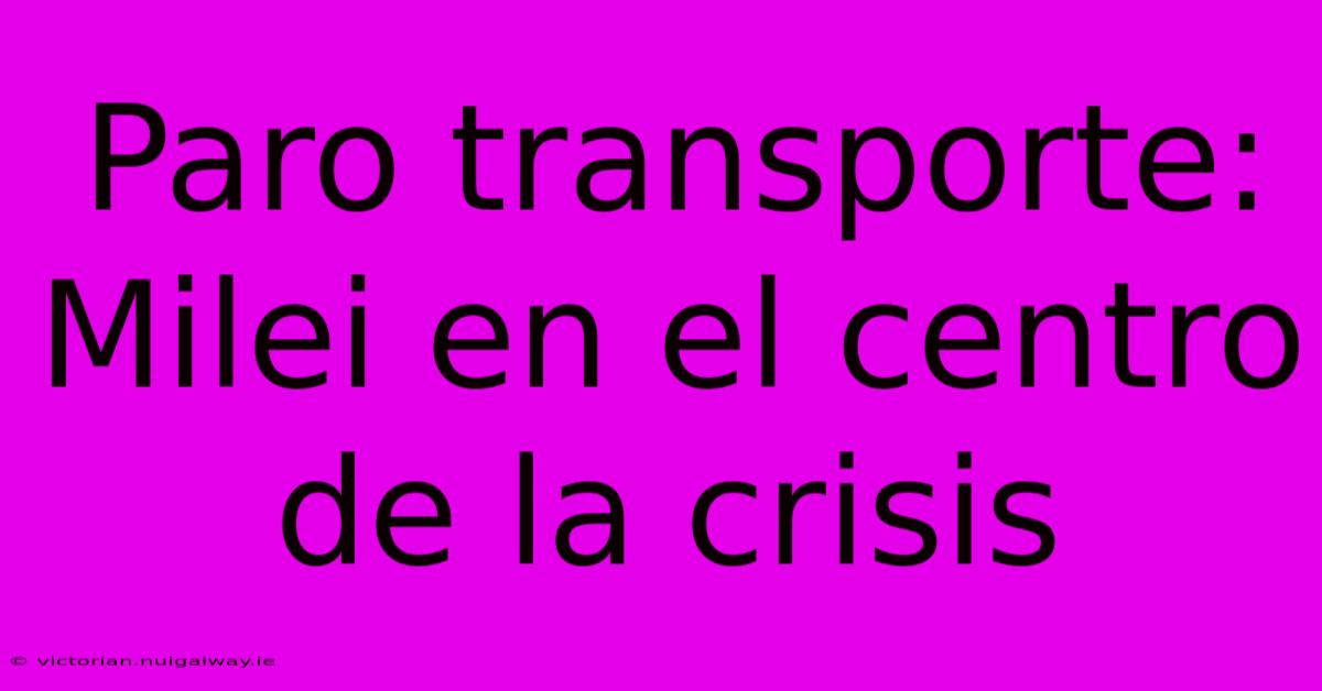 Paro Transporte: Milei En El Centro De La Crisis