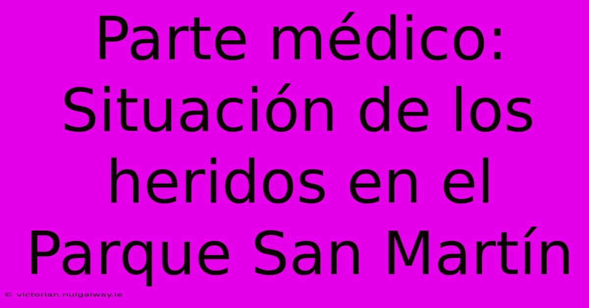 Parte Médico: Situación De Los Heridos En El Parque San Martín 