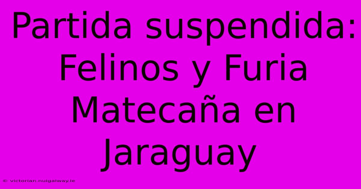 Partida Suspendida: Felinos Y Furia Matecaña En Jaraguay