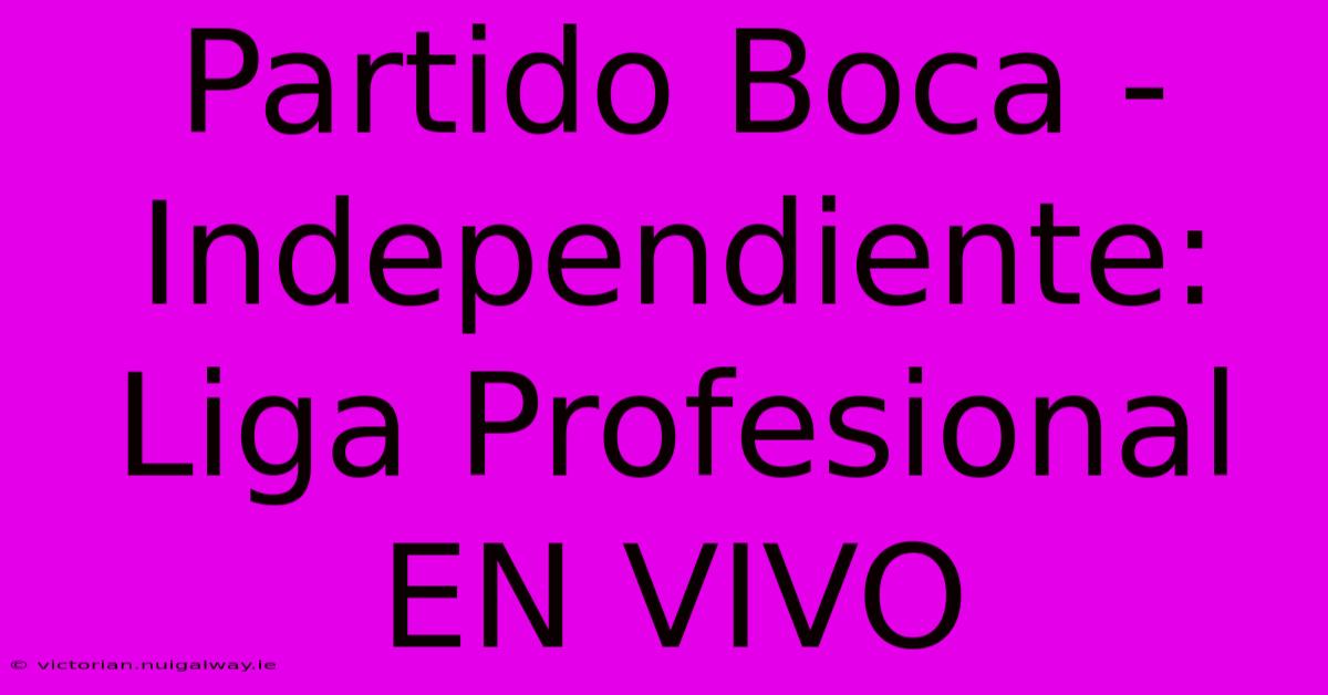 Partido Boca - Independiente: Liga Profesional EN VIVO