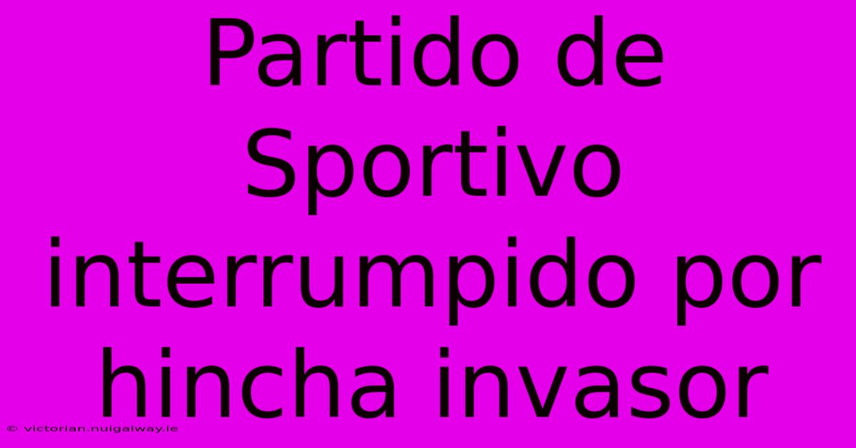 Partido De Sportivo Interrumpido Por Hincha Invasor 