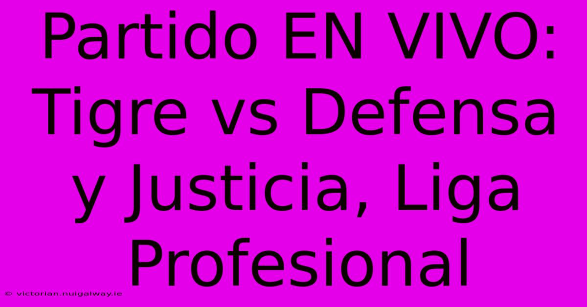 Partido EN VIVO: Tigre Vs Defensa Y Justicia, Liga Profesional