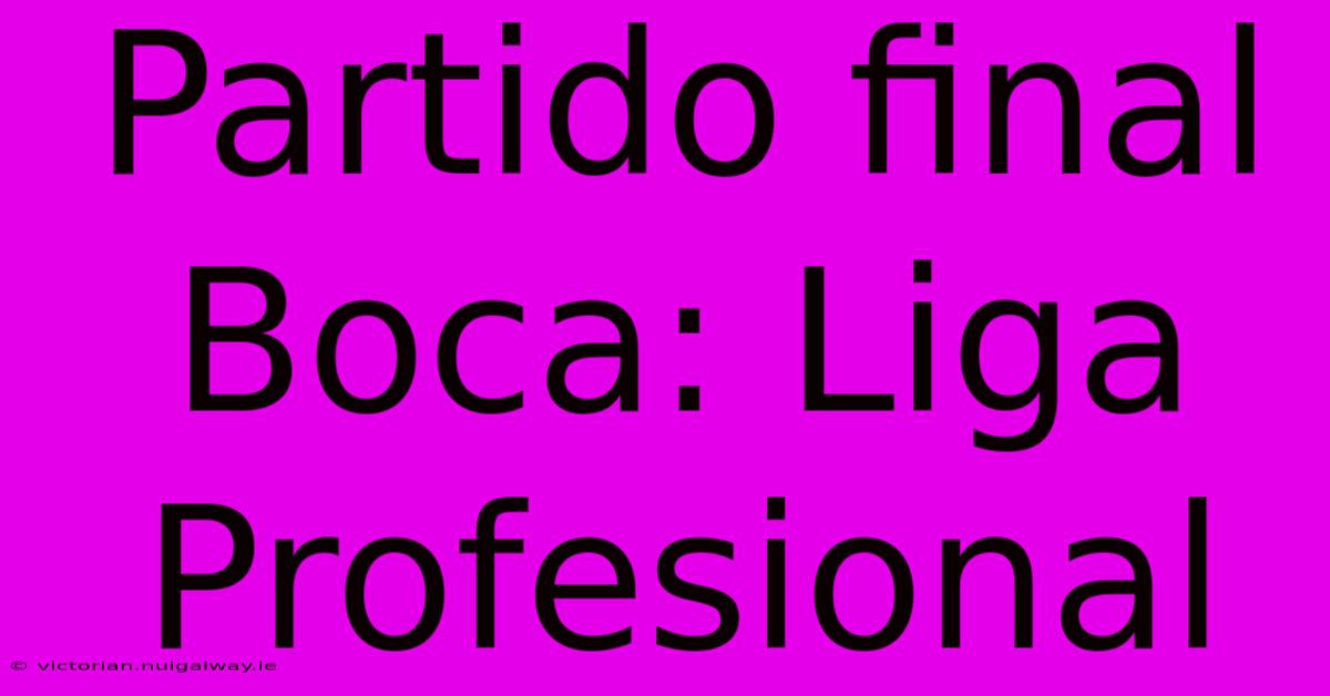 Partido Final Boca: Liga Profesional