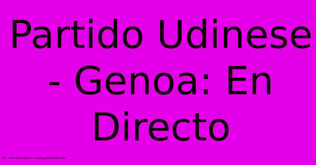 Partido Udinese - Genoa: En Directo