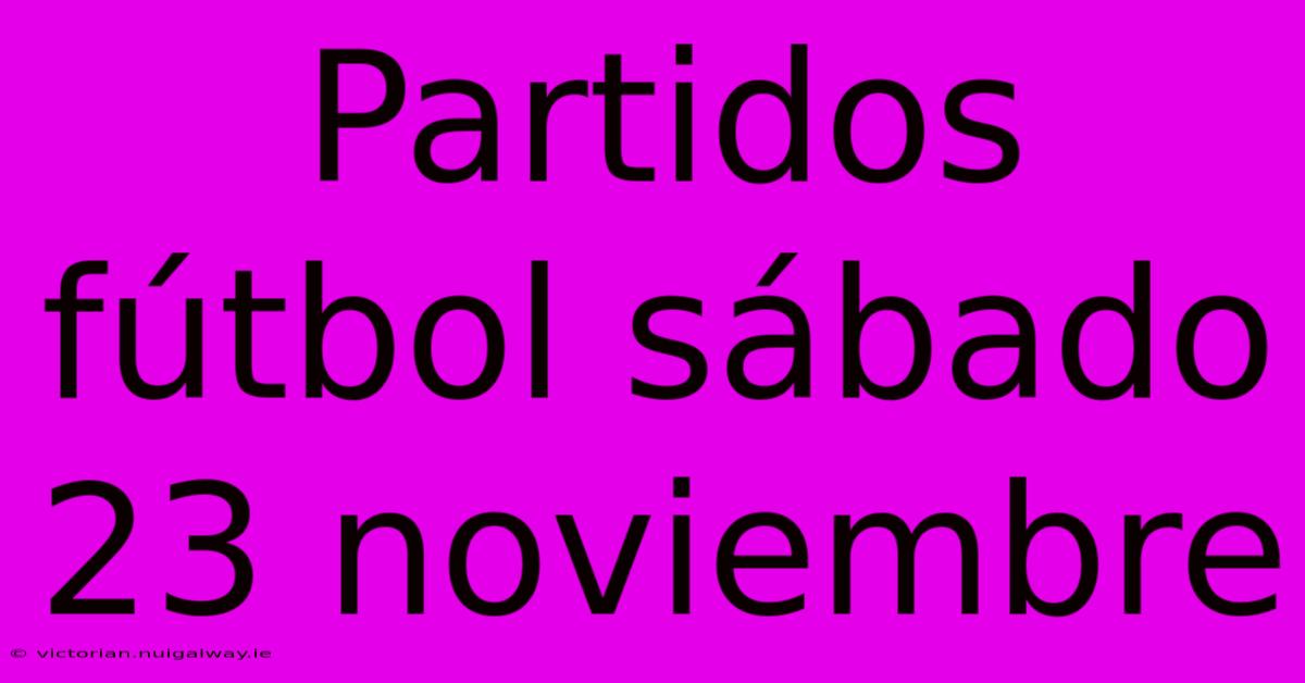 Partidos Fútbol Sábado 23 Noviembre