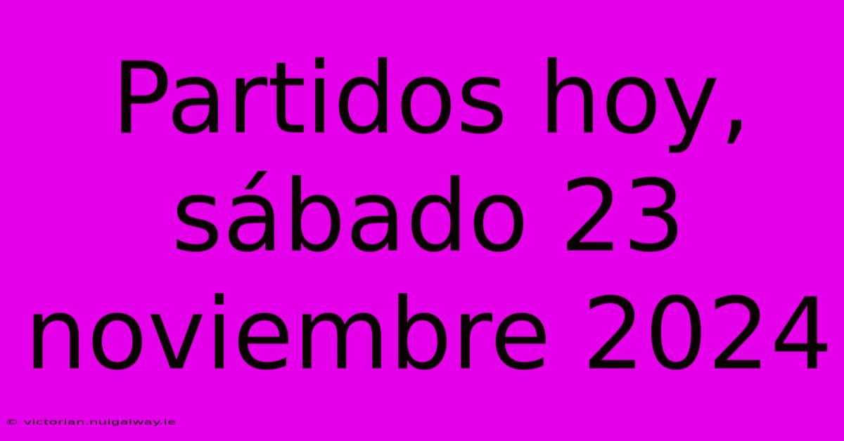 Partidos Hoy, Sábado 23 Noviembre 2024