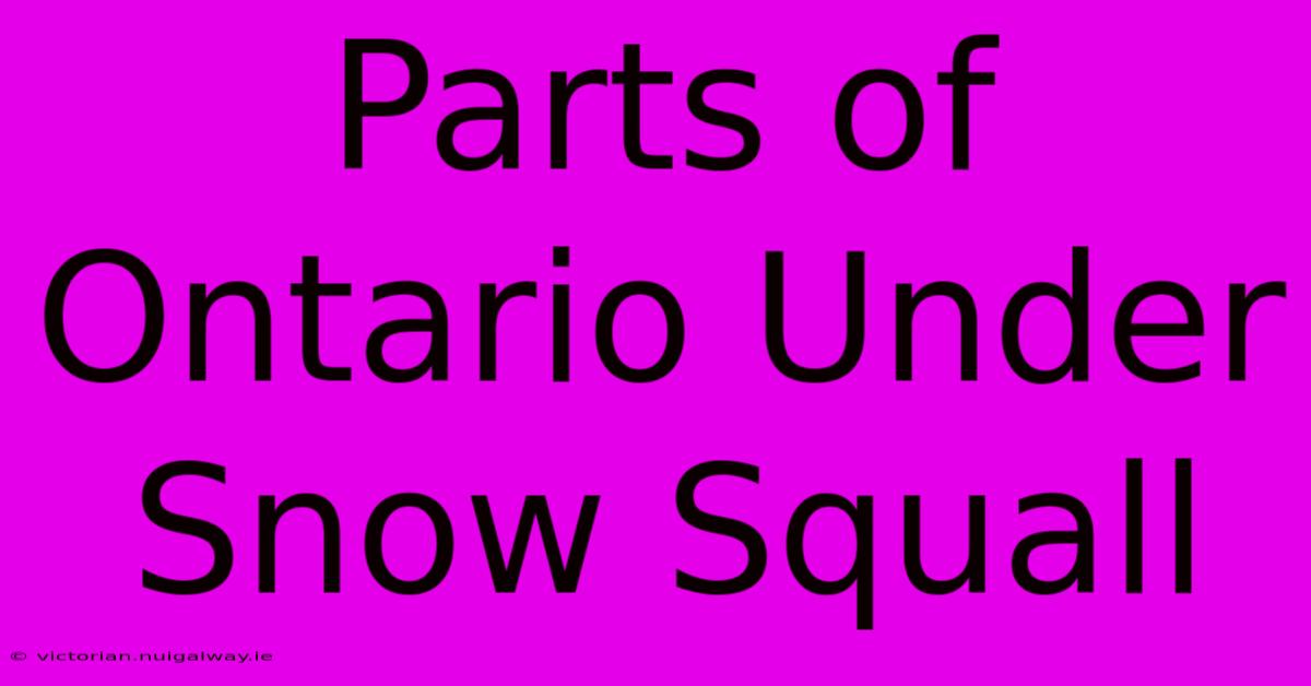 Parts Of Ontario Under Snow Squall