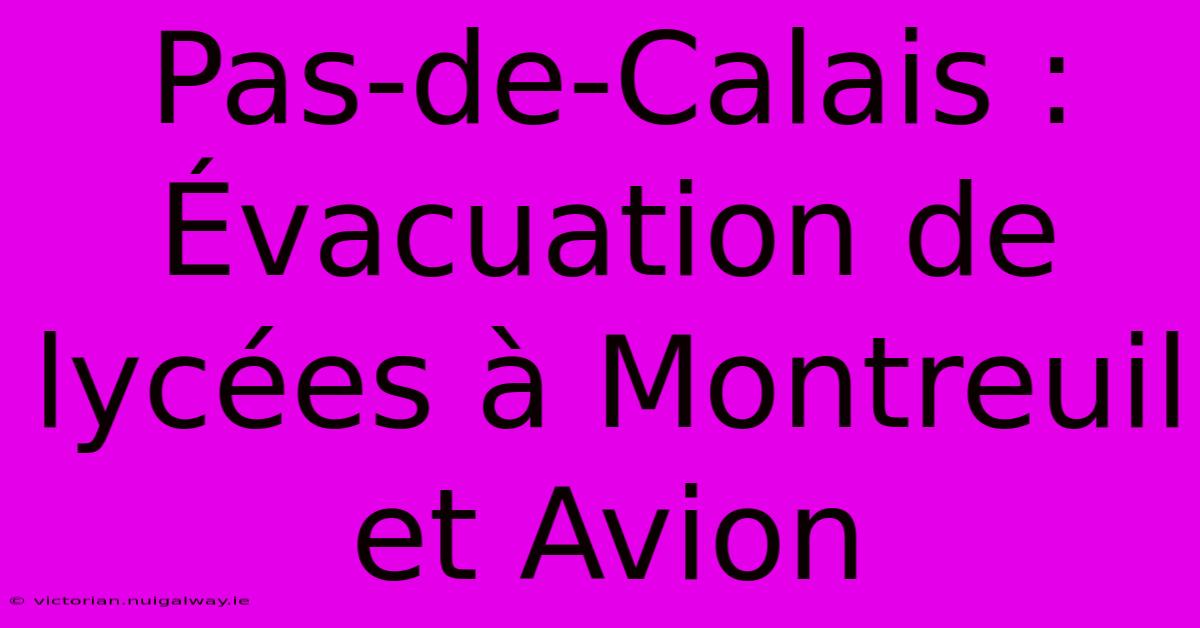 Pas-de-Calais : Évacuation De Lycées À Montreuil Et Avion