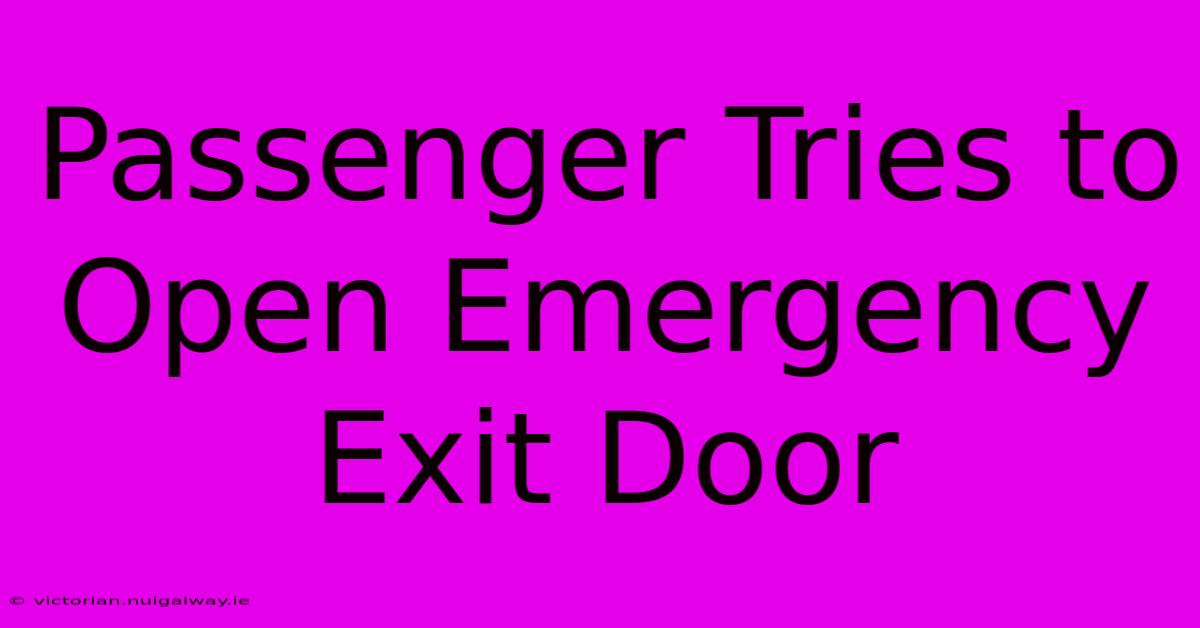 Passenger Tries To Open Emergency Exit Door 