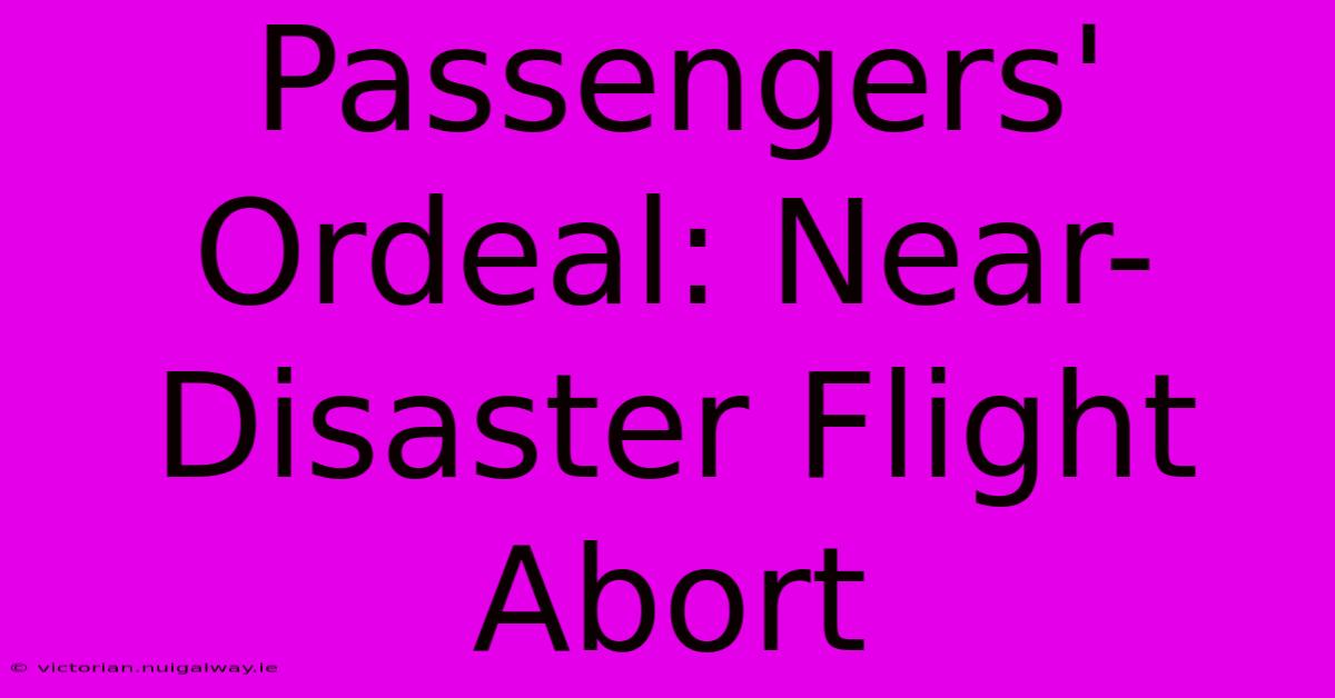 Passengers' Ordeal: Near-Disaster Flight Abort