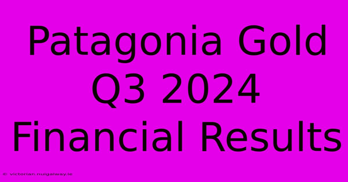 Patagonia Gold Q3 2024 Financial Results