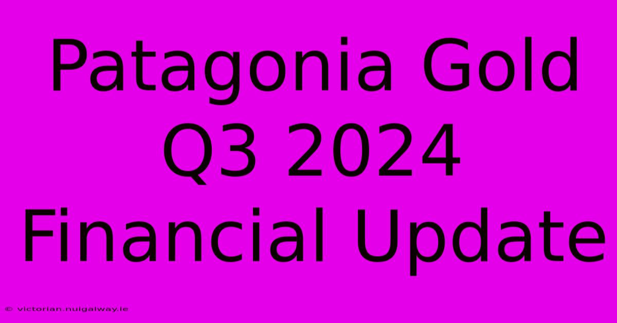 Patagonia Gold Q3 2024 Financial Update