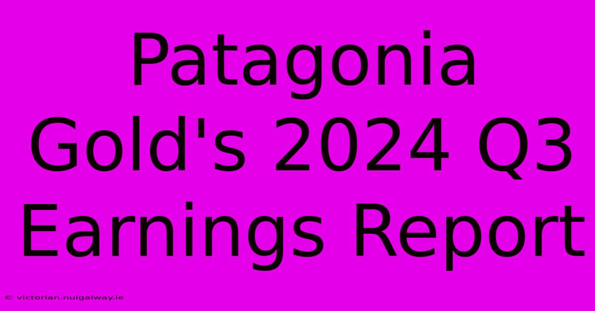 Patagonia Gold's 2024 Q3 Earnings Report