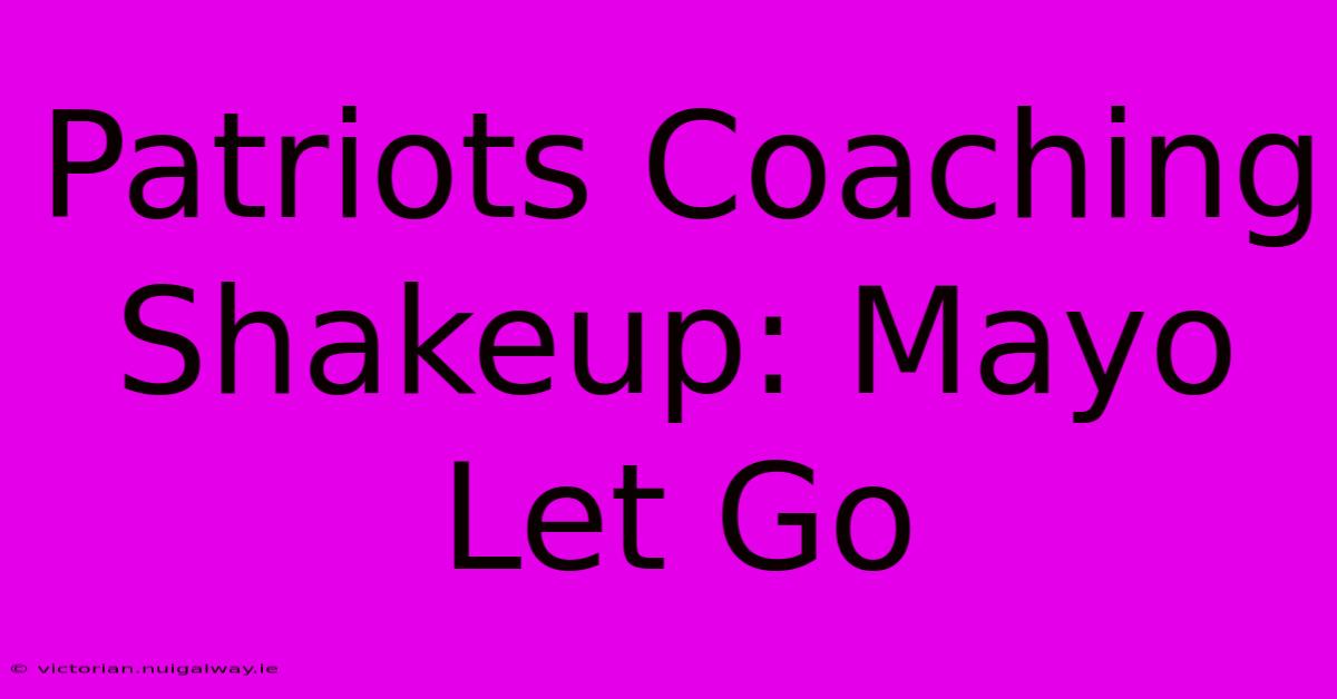 Patriots Coaching Shakeup: Mayo Let Go