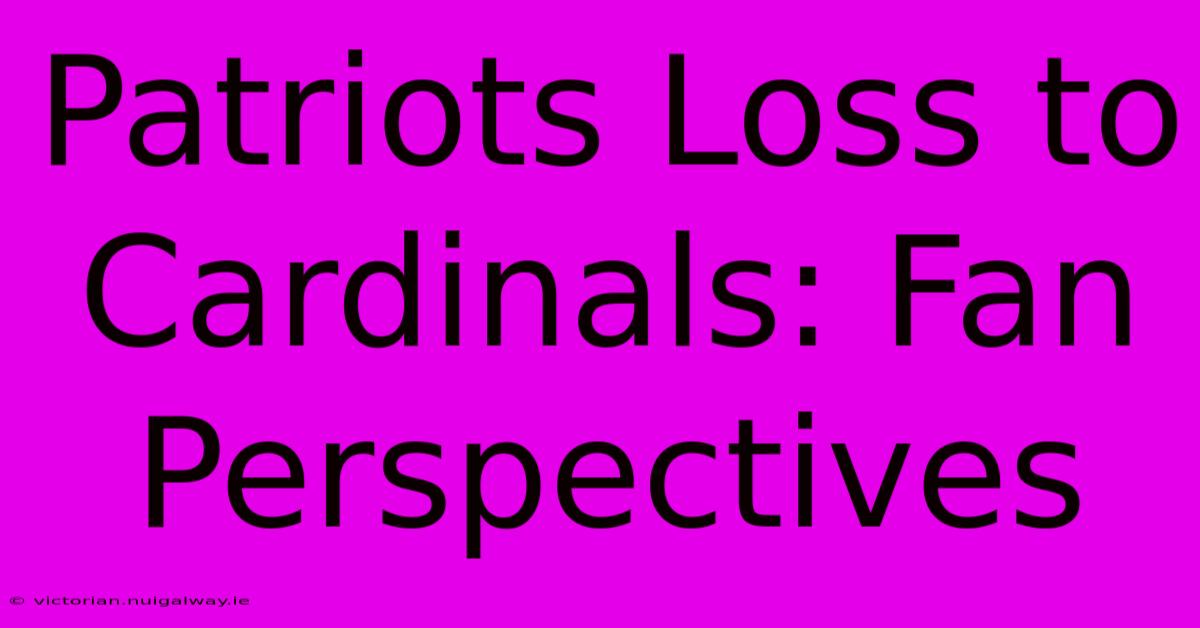 Patriots Loss To Cardinals: Fan Perspectives