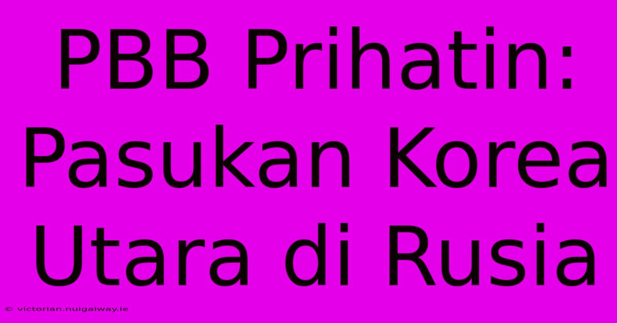 PBB Prihatin: Pasukan Korea Utara Di Rusia