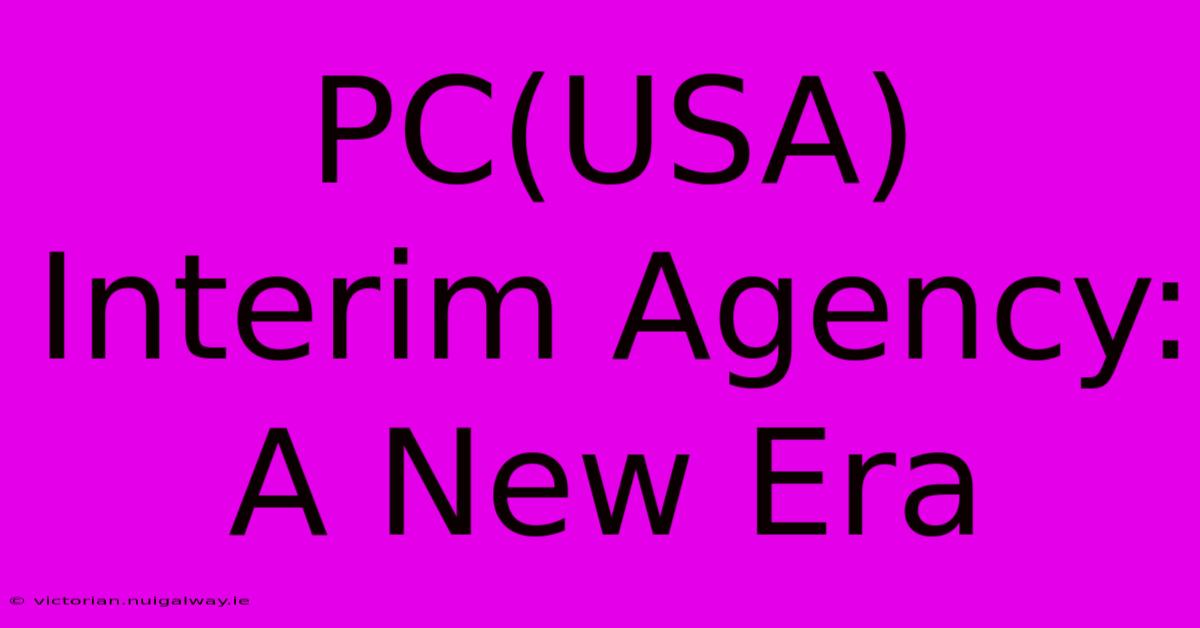 PC(USA) Interim Agency: A New Era