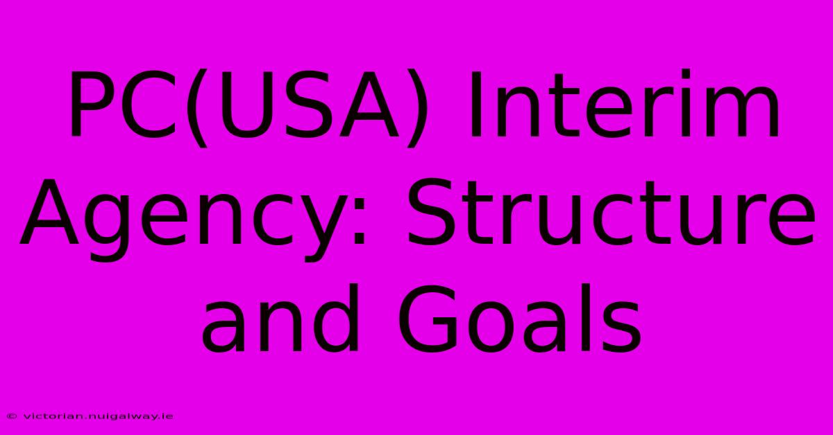 PC(USA) Interim Agency: Structure And Goals