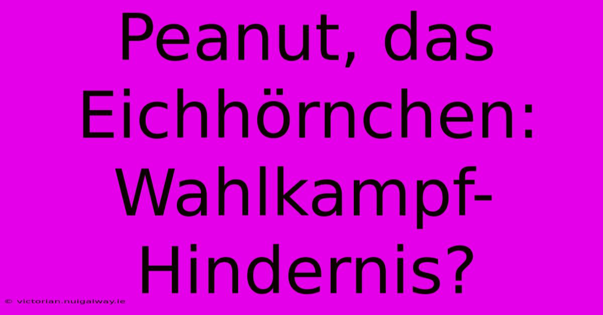 Peanut, Das Eichhörnchen: Wahlkampf-Hindernis?